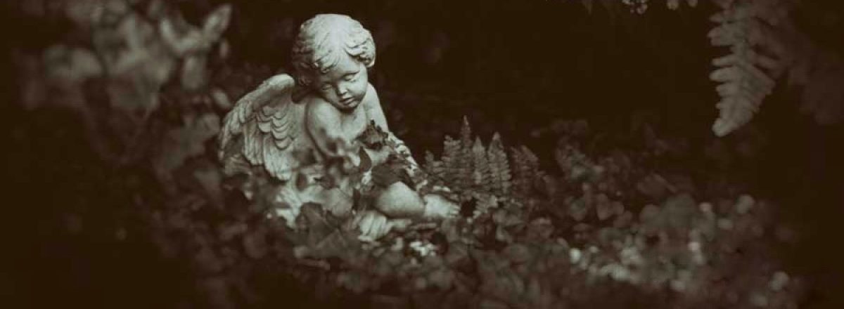 douglaswyattphotography.com